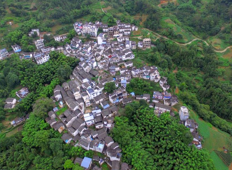 1646715454247202.png 安徽省黄山市歙县杞梓(qǐ zǐ)里镇