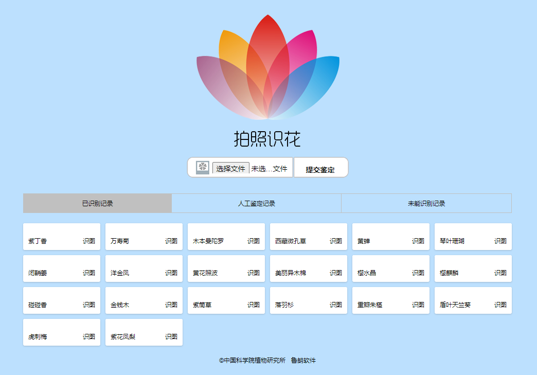 看图识花上传图片识别花的种类