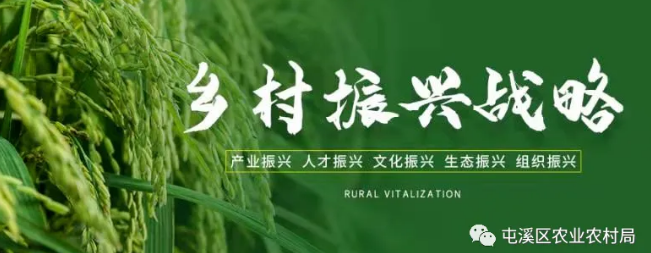 屯溪三农