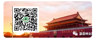 歙县林业局