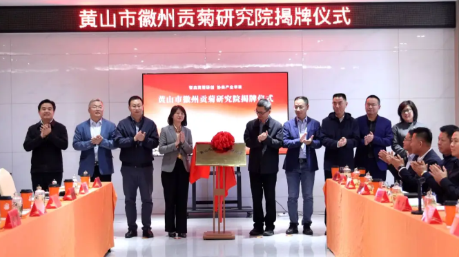 黄山市徽州贡菊研究院揭牌成立